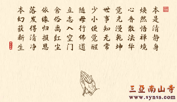 佛化世间：剃度出家苦修行，潜心入禅度众生