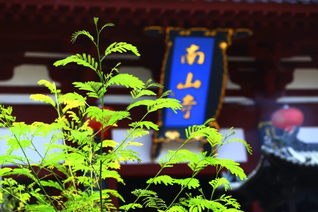 不为人说的法
